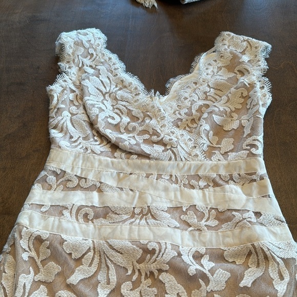 Tadashi Shoji Ivory and Nude Lace Cocktail Dress Women's Size 4 - Picture 15 of 16